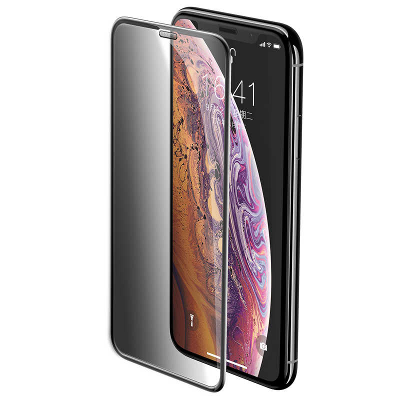 Apple iPhone XS Max 6.5 Zore Anti-Dust Privacy Temperli Ekran Koruyucu